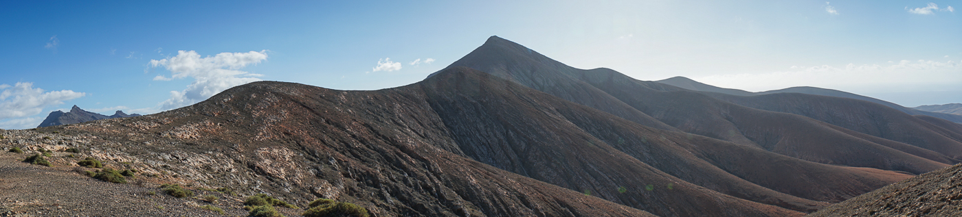 fuerte vitali 2-00356