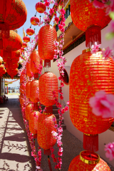 thailand-webiste-09165