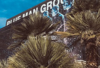 Vegas 1 klein -6424
