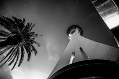 Vegas 1 klein -5786