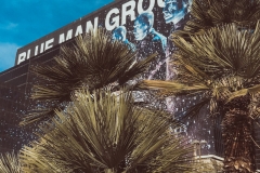 Vegas 1 klein -6424